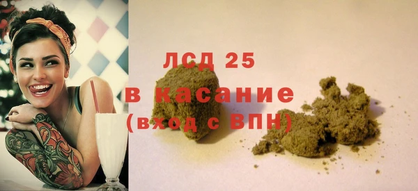 ГАЛЛЮЦИНОГЕННЫЕ ГРИБЫ Верея
