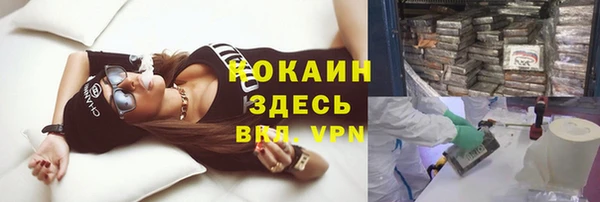 сатива Бородино