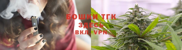 ГАЛЛЮЦИНОГЕННЫЕ ГРИБЫ Верея