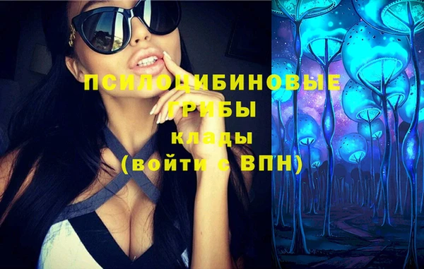 ГАЛЛЮЦИНОГЕННЫЕ ГРИБЫ Верея
