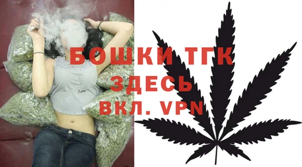ГАЛЛЮЦИНОГЕННЫЕ ГРИБЫ Верея